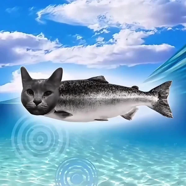 KOTFISH